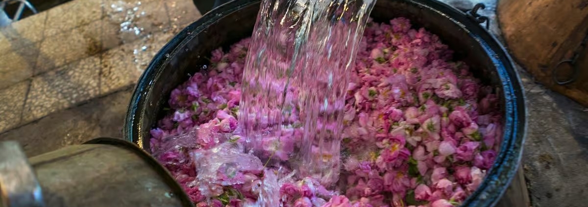 Rose Otto quality