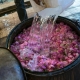 Rose Otto quality