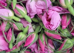 Premium Damask rose essential oil for cosmetic manufacturing