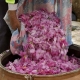 Damask rose field during harvest season for premium rose essential oil production